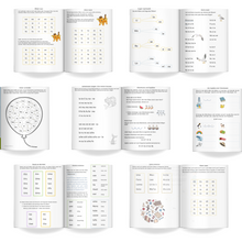 Lade das Bild in den Galerie-Viewer, Lese-Schiff 1a: Trainings-Programm für einzelheitliches Lesen