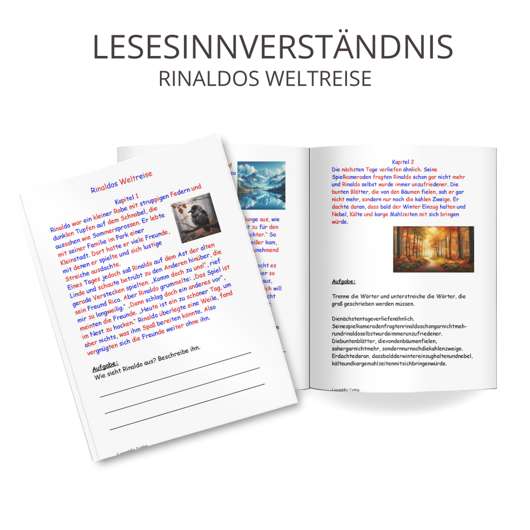 Lesesinnverständnis - Rinaldos Weltreise