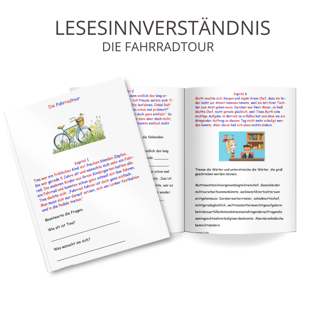Lesesinnverständnis - Die Fahrradtour