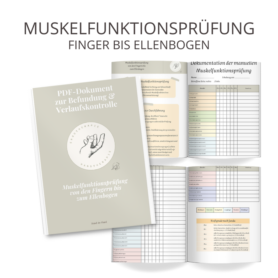 Manuelle Muskelfunktionsprüfung