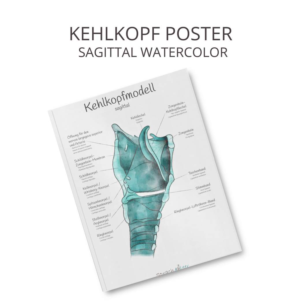 Kehlkopf Poster sagittal watercolor