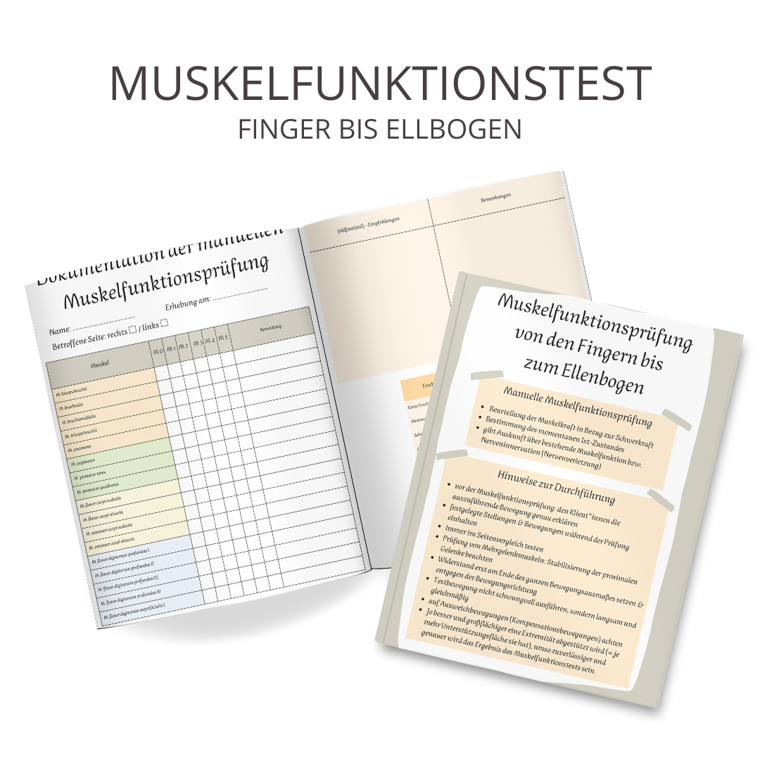 Manuelle Muskelfunktionsprüfung – Therapiemarktplatz